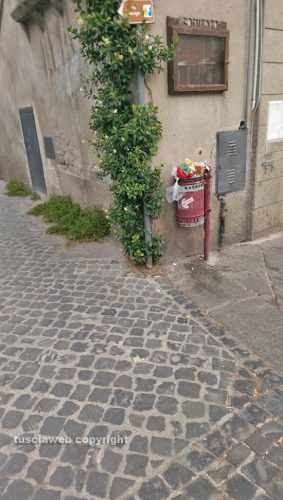 Viterbo - Cestini pieni a Pianoscarano 
