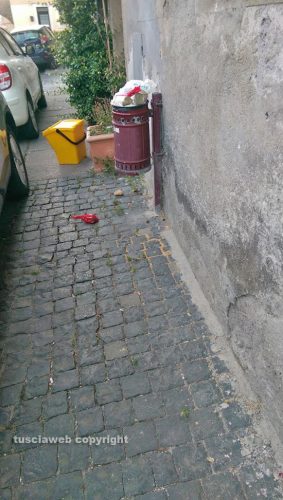 Viterbo - Cestini pieni a Pianoscarano 