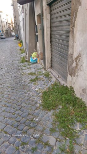 Viterbo - Immondizia ed erba a Pianoscarano 