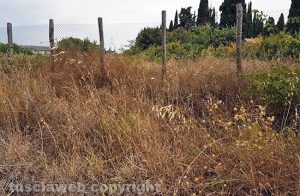 Viterbo - Zona Castellaccio dove era previsto l'ecocentro