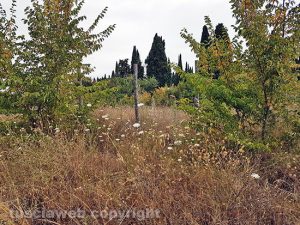 Viterbo - Zona Castellaccio dove era previsto l'ecocentro