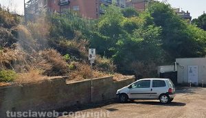 Viterbo - Erba alta lungo la linea ferroviaria