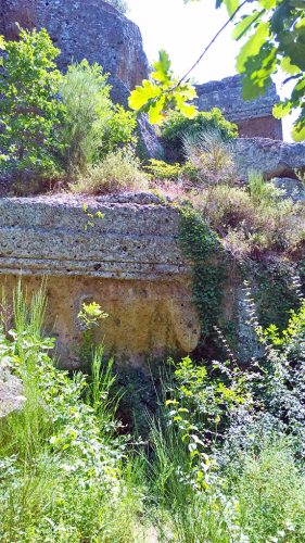 Viterbo - Norchia - Tombe invase dall'erbaccia