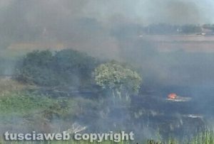 Un incendio di sterpaglie