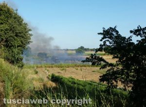 Incendio di stoppie
