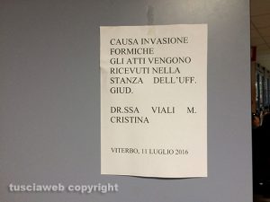Ufficiali giudiziari sfrattati dalle formiche