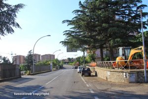 Viterbo - Via A. Volta - Cartello stradale coperto da un albero