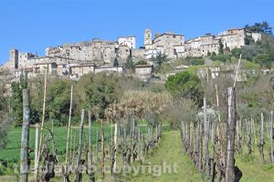 Castiglione in Teverina