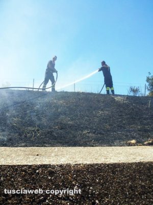 Santa Marinella - Incendio di sterpaglie nei pressi dell'autostrada