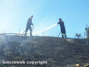 Santa Marinella - Incendio di sterpaglie nei pressi dell'autostrada