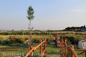 Viterbo - Il parco termale Bagnaccio