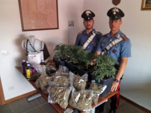 Nepi - Più di tre chili di marijuana in casa