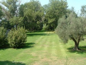 Marta - Lago di Bolsena - Isola Bisentina
