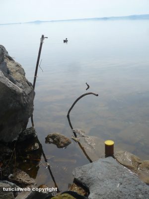 Bolsena - Rifiuti e materiali pericolosi nel lago