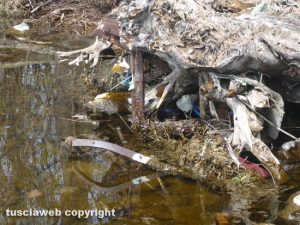 Bolsena - Rifiuti e materiali pericolosi nel lago