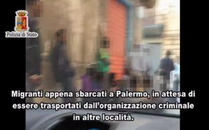 Traffico di migranti, 38 fermi