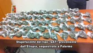 Traffico di migranti, 38 fermi