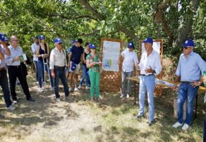 Viterbo - Incontro del dafne sulle produzione biologiche