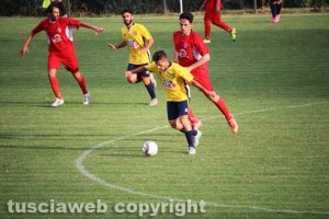 Sport - Calcio - Viterbese - Daniele Ansini