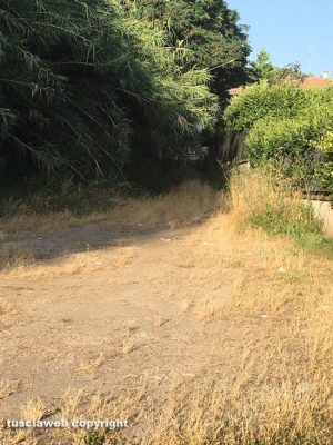 Viterbo - Via Brunelli