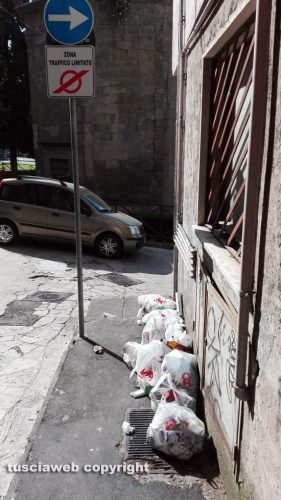 Viterbo - Cumuli d'immondizia al Sacrario
