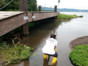 Goletta dei laghi di Legambiente - Uno dei punti di prelievo sul Lago di Bolsena