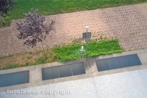 Viterbo - Irrigatore rotto al parco Michelangelo