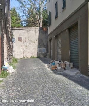 Viterbo - Calcinacci ed erba alta in via Traversa