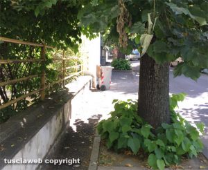 Viterbo - Viale IV novembre