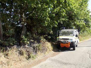 Incendi, i volontari dell'Asvom al lavoro 