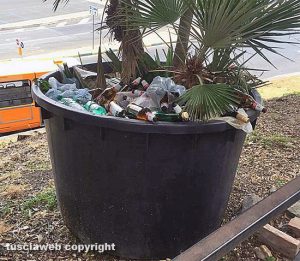 Viterbo - Via Santa Maria in Volturno - Bottiglie buttate nel vaso