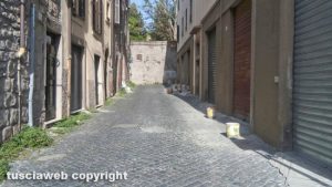 Viterbo - Calcinacci ed erba alta in via Traversa