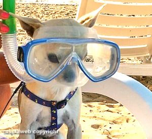 Vieste - Martin in vacanza con Katiuscia Brizi