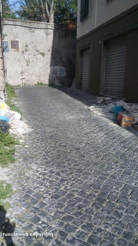 Viterbo - Calcinacci ed erba alta in via Traversa