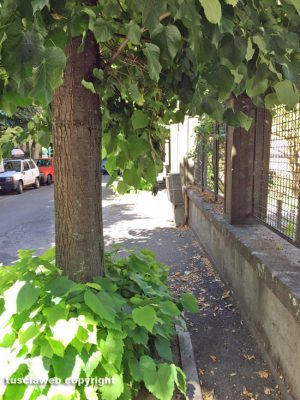 Viterbo - Viale IV novembre