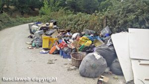 Viterbo - Rifiuti in strada Novepani