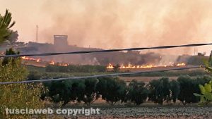 Tarquinia - Incendio lungo la ferrovia Roma - Genova