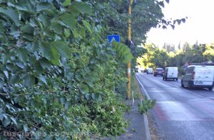 Bassano Romano - Il semaforo pedonale sulla Cassia Bis