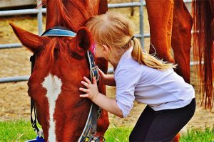 Viterbo - Nasce “Il mio amico del cuore”