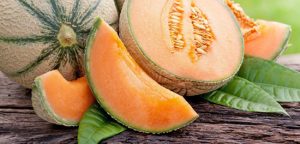 Sagra del melone
