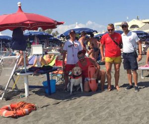 Cani da salvataggio (Sics)