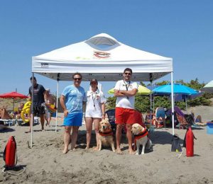 Cani da salvataggio (Sics)