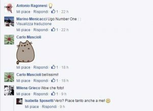 La rassegna stampa di Ugo Sposetti - I commenti su Facebook