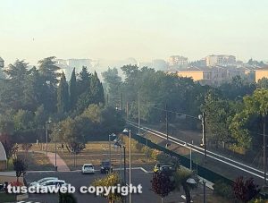 Viterbo - Incendio di sterpaglie a Santa Barbara