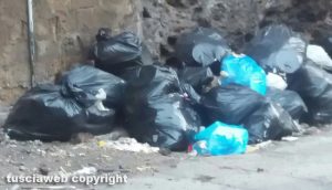Viterbo - Topi e rifiuti in via del Pilastro