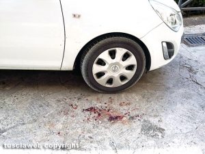 Viterbo - Via Cairoli - Il sangue a terra dopo una rissa