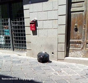 Viterbo - Rifiuti in via delle Piagge e zone limitrofe