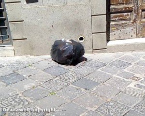 Viterbo - Rifiuti in via delle Piagge e zone limitrofe