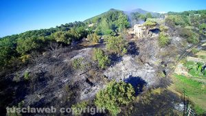 Viterbo - Incendio nel bosco di strada Roncone - Casolare in fiamme