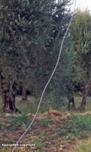 Civitella D'Agliano - Loc. Campo della Fiera